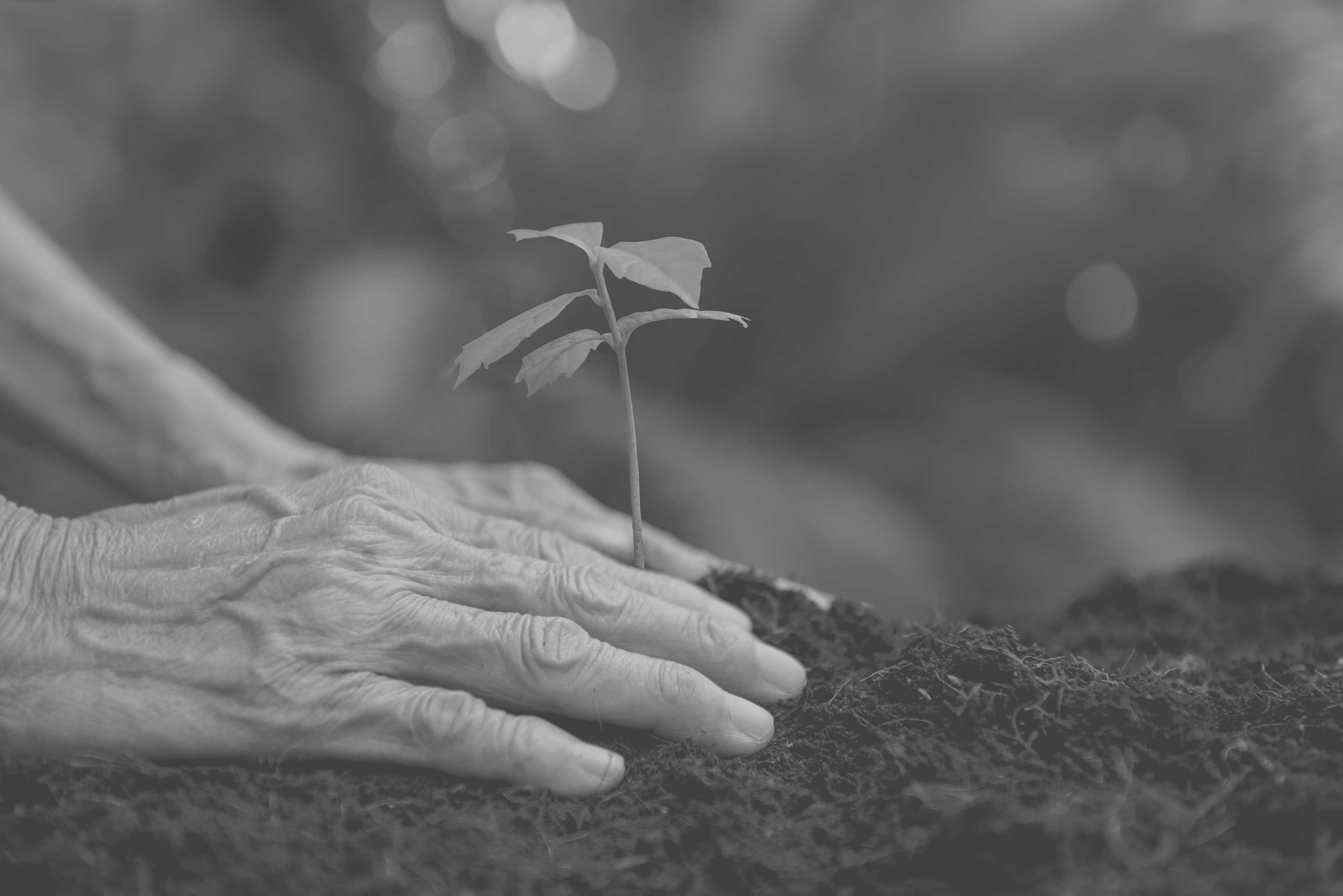 Nachhaltigkeit Nachhaltigkeit