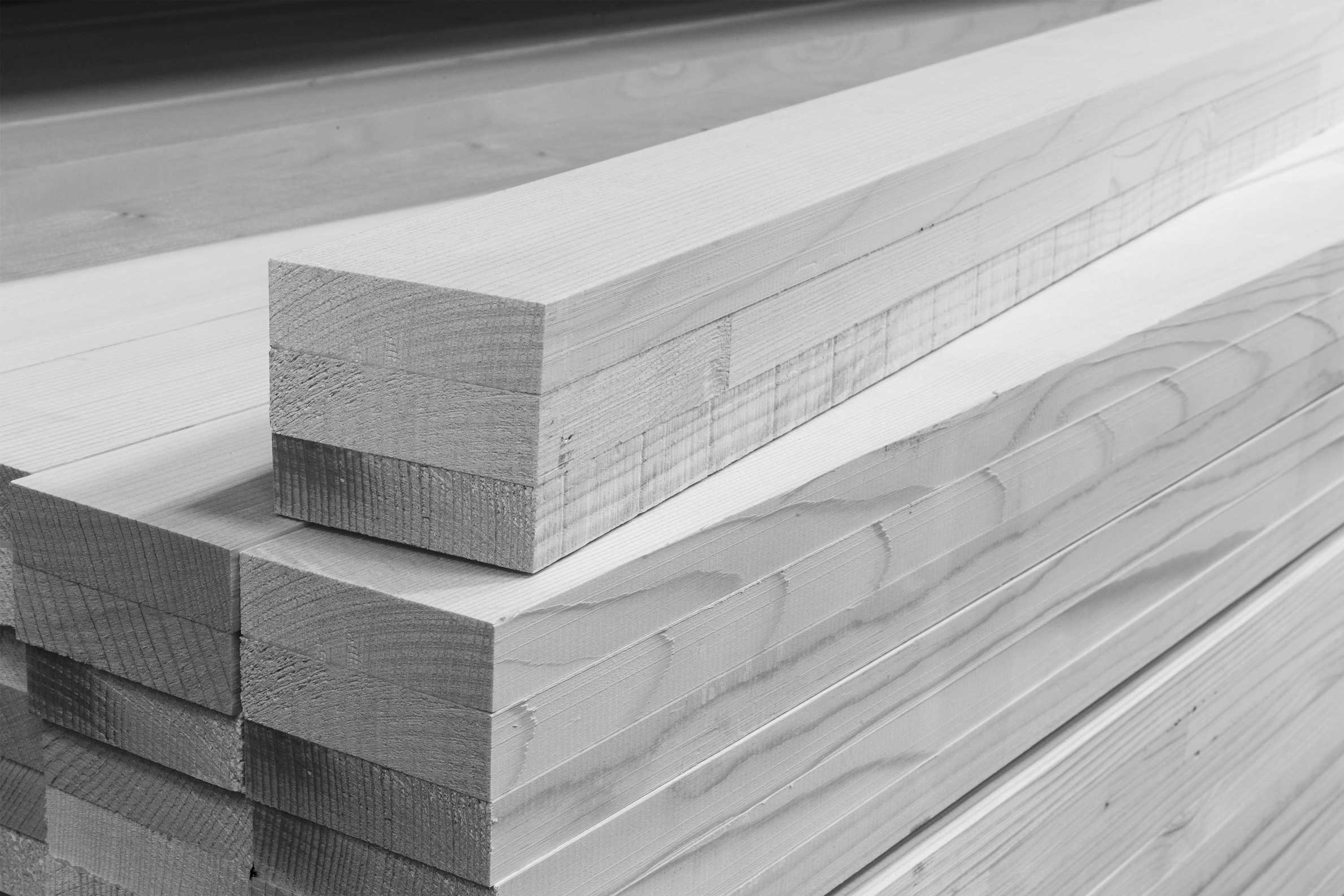 Europäische Fichte Europäische Fichte