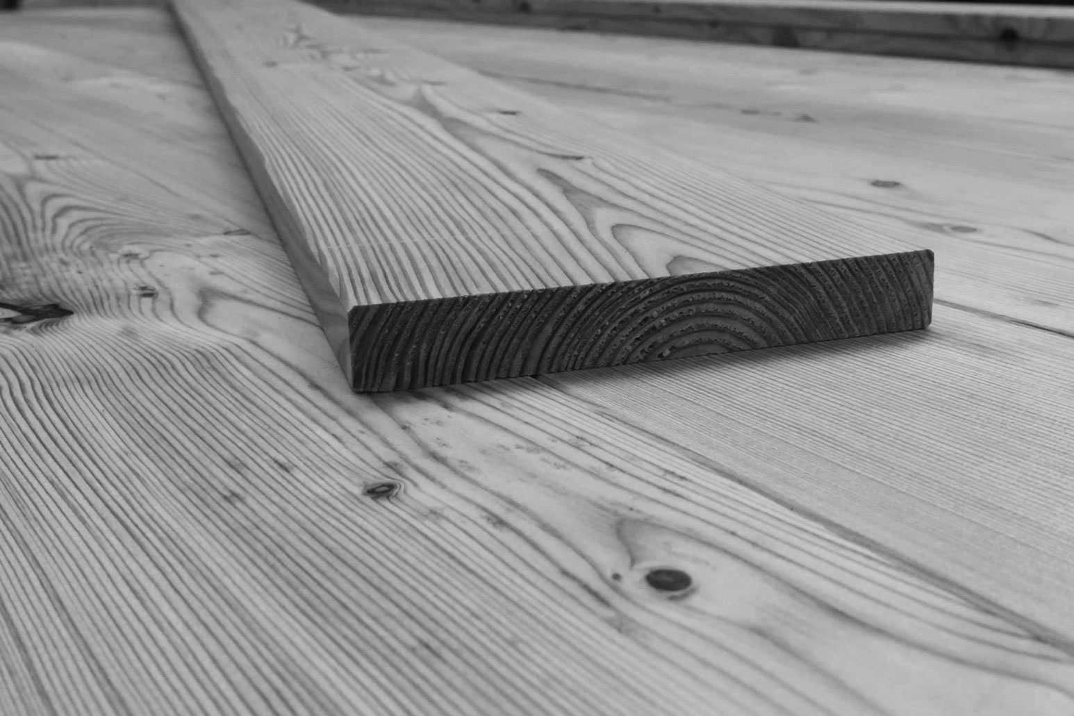 Kanadische Lärche Kanadische Lärche